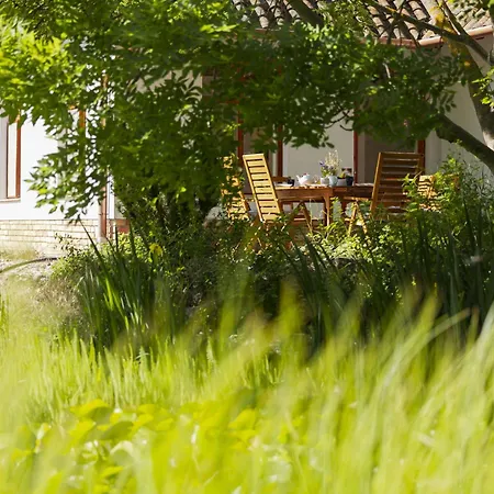 Canela By Interhome *